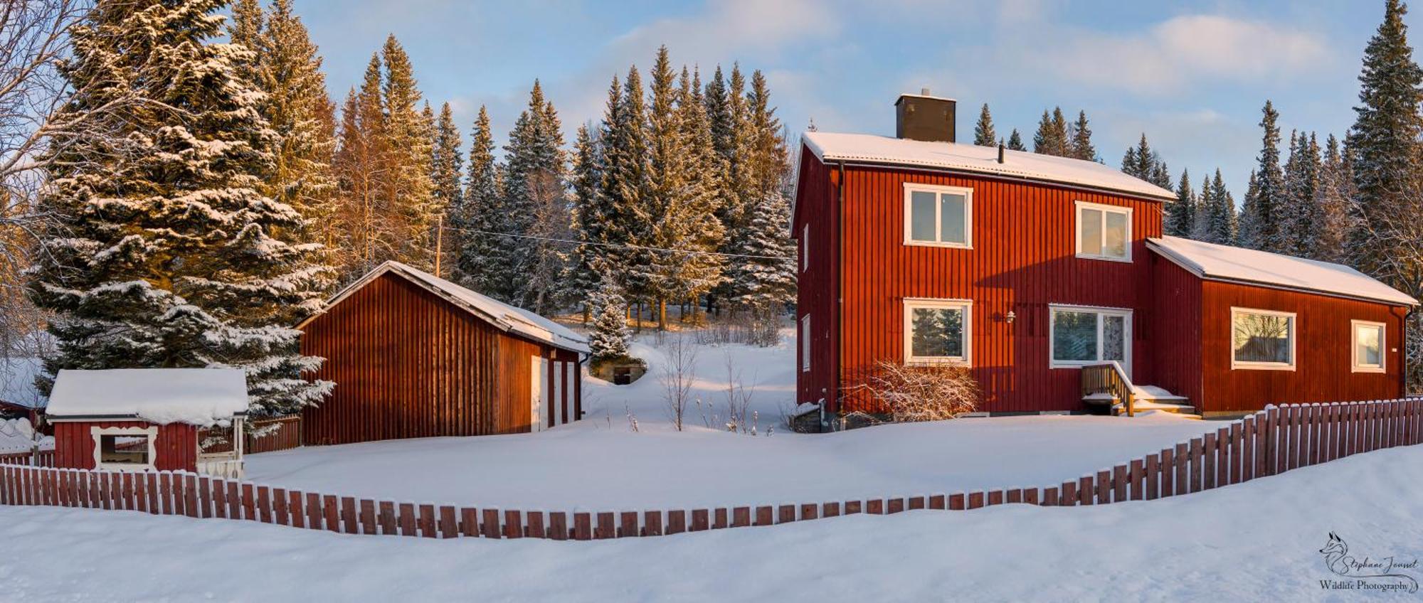 The Bear'S Den Villa Hakafot ภายนอก รูปภาพ